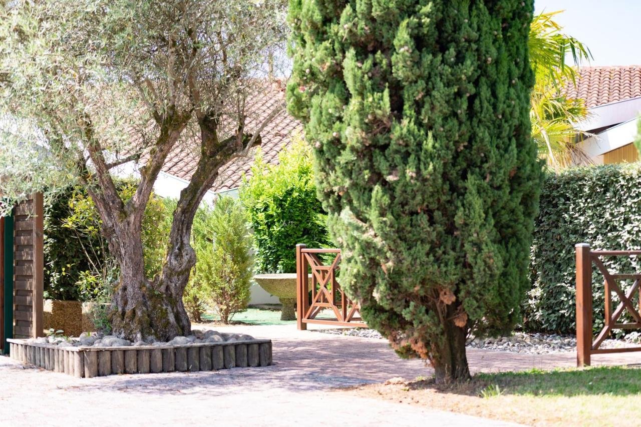 Résidence Amaréna Saint-Paul-lès-Dax Exterior foto